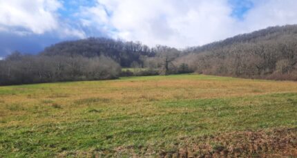 Loubressac Terrain à bâtir - 2299362-6976annonce220250227KenKM.jpeg Maisons Partout