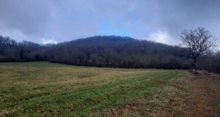 Loubressac Terrain à bâtir - 2299363-6976annonce220250227cNeum.jpeg Maisons Partout