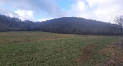 Loubressac Terrain à bâtir - 2299371-6976annonce220250227e7OxE.jpeg Maisons Partout