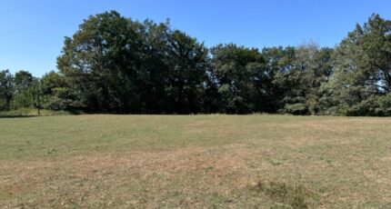 Reilhac Terrain à bâtir - 2252604-3700annonce220240910iIuWF.jpeg Maisons Partout