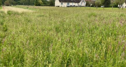 Prudhomat Terrain à bâtir - 2339789-3828annonce120240425yAe1g.jpeg Maisons Partout