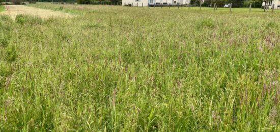 Terrain à bâtir à Prudhomat, Occitanie