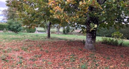 Prunet Terrain à bâtir - 2308864-6000annonce220231124TTX61.jpeg Maisons Partout