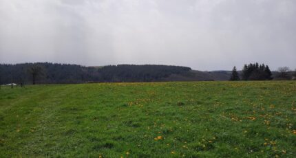 Roannes-Saint-Mary Terrain à bâtir - 2380847-6000annonce220260105AkBGX.jpeg Maisons Partout