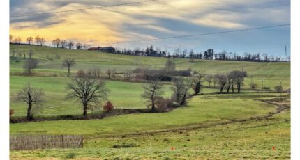 Aurillac Terrain à bâtir - 2391377-annonceTerrain-20260113155720.JPEG Maisons Partout