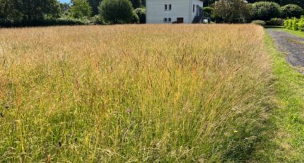 Ytrac Terrain à bâtir - 2400869-3828annonce420250219al28G.jpeg Maisons Partout