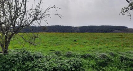 Roannes-Saint-Mary Terrain à bâtir - 2375945-6976annonce2202505158B5pT.jpeg Maisons Partout