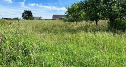 Roannes-Saint-Mary Terrain à bâtir - 2422915-3828annonce120240705sBnF6.jpeg Maisons Partout