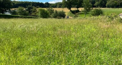 Roannes-Saint-Mary Terrain à bâtir - 2422915-3828annonce320240705Zxfpv.jpeg Maisons Partout