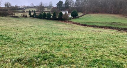 Lacapelle-Viescamp Terrain à bâtir - 2439158-6000annonce1202511046cBQ7.jpeg Maisons Partout