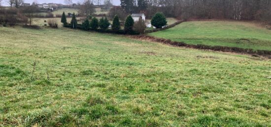 Terrain à bâtir à Lacapelle-Viescamp, Auvergne-Rhône-Alpes