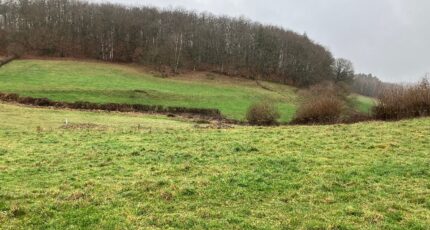 Lacapelle-Viescamp Terrain à bâtir - 2439158-6000annonce220251104SX92I.jpeg Maisons Partout