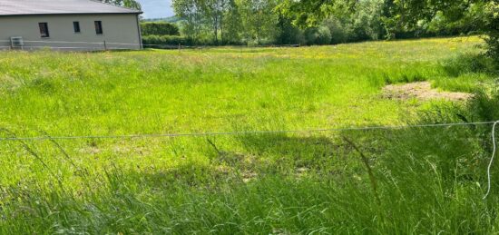 Terrain à bâtir à Jussac, Auvergne-Rhône-Alpes