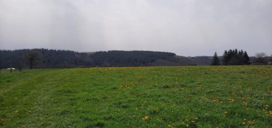 Terrain à bâtir à , Cantal