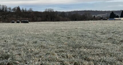 Jussac Terrain à bâtir - 2382229-3828annonce220260106ndzRg.jpeg Maisons Partout