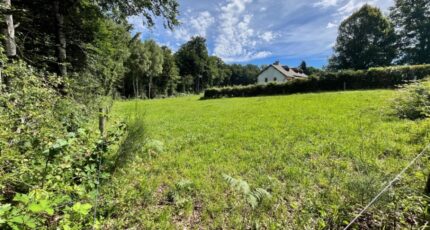 Roannes-Saint-Mary Terrain à bâtir - 2382283-3828annonce120250916wI68B.jpeg Maisons Partout