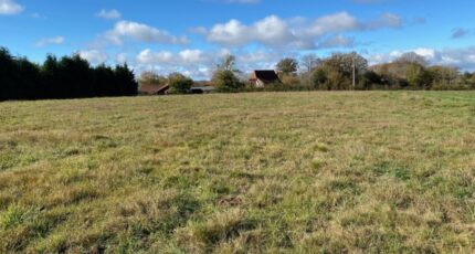 Roannes-Saint-Mary Terrain à bâtir - 2382291-3828annonce220250916dFUyg.jpeg Maisons Partout