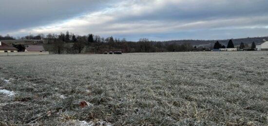 Terrain à bâtir à Jussac, Auvergne-Rhône-Alpes