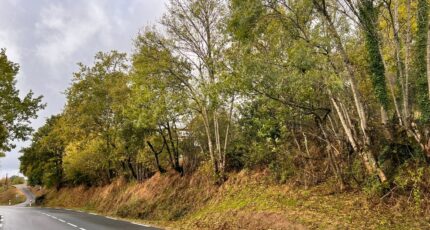 Sansac-de-Marmiesse Terrain à bâtir - 2450710-6000annonce3202412029DhdC.jpeg Maisons Partout