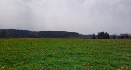 Roannes-Saint-Mary Terrain à bâtir - 2612320-6000annonce320260105cfzF1.jpeg Maisons Partout