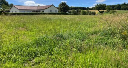 Roannes-Saint-Mary Terrain à bâtir - 2641583-3828annonce1202407055FkKL.jpeg Maisons Partout